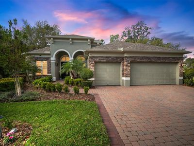 3633 Cordgrass Dr, Valrico, FL, 33596