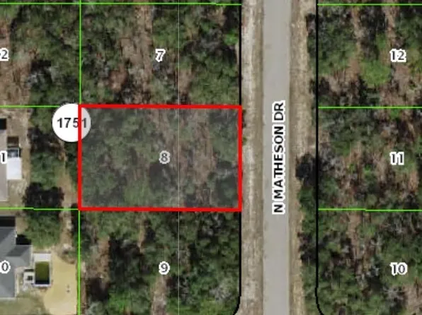 6172 N Matheson Dr, Citrus Springs, FL 34434