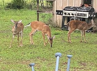 303 Faceville Landing Rd, Bainbridge, GA 39819