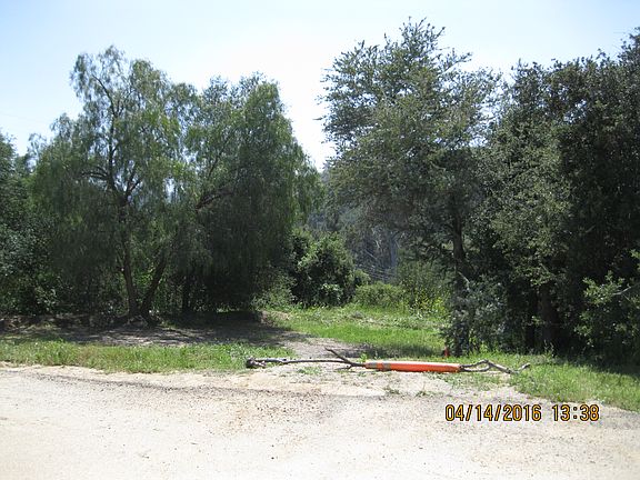 5th image of 1700 Tiger Trl