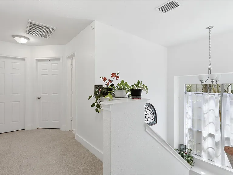 151 Anise Tree Pl — Photo 18