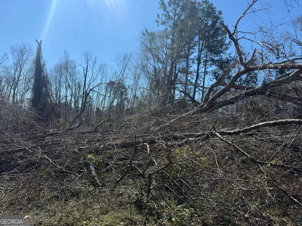 0 Wragler Ln, Hazlehurst, GA 31539