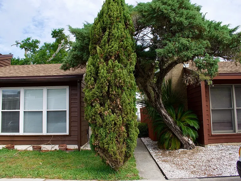1561 Arcadia Dr — Photo 2
