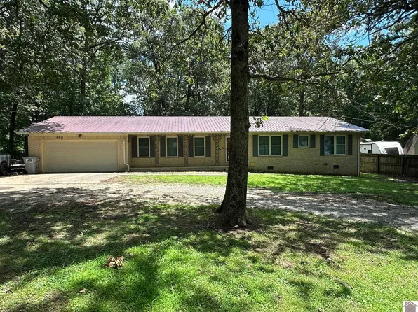 498 Old Dublin Rd, Mayfield, KY 42066