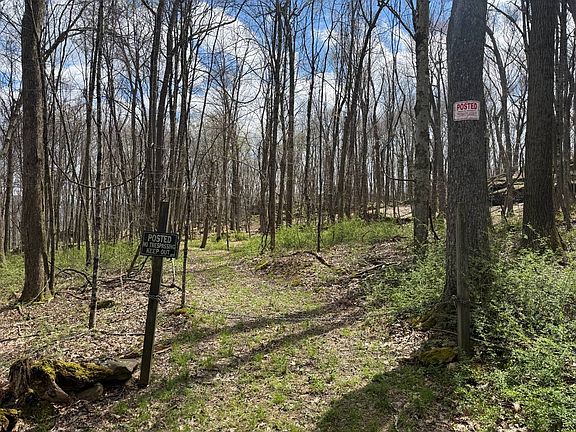 2nd image of 0 Dennison Run Rd