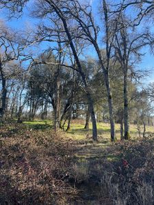 9114 Marysville Rd, Oregon House, CA, 95962
