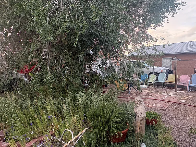 Back yard