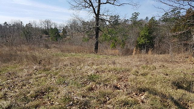 2nd image of White Rd