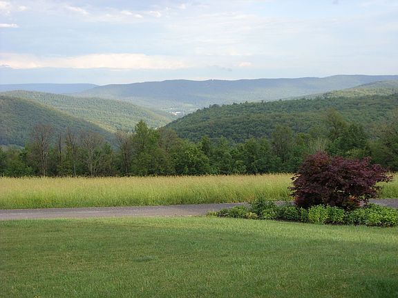Perennial bed at the edge of the driveway