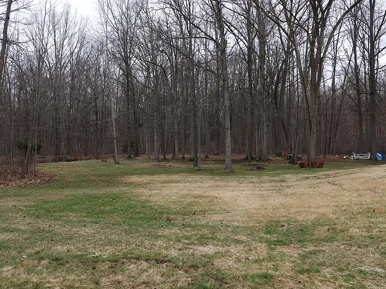 Torrey Rd — Photo 10