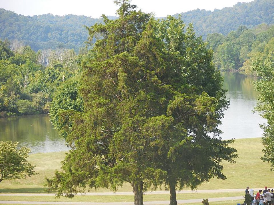 1st image of Camp Discovery Ln