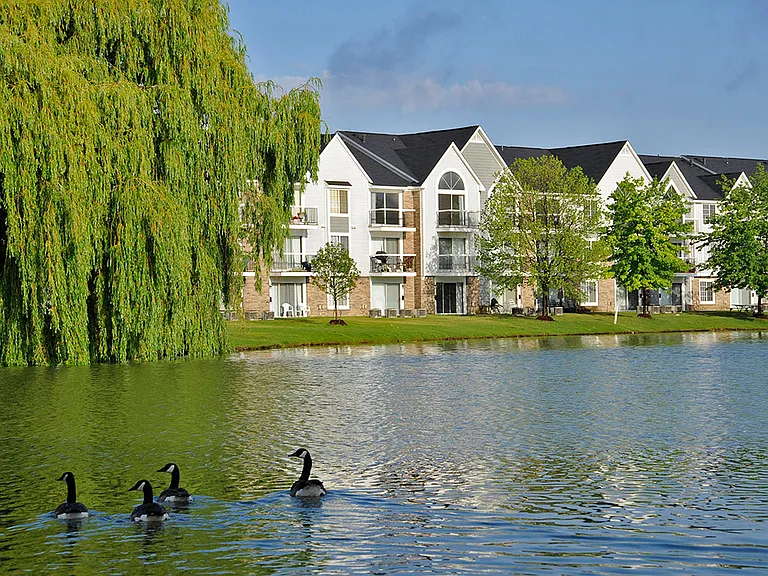 Lake Views