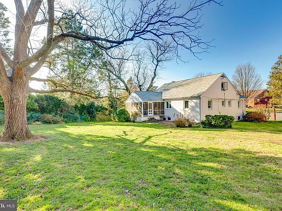 Great flat back yard with HUGE tree!