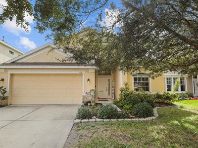 420 Durham Shore Ct, Apollo Beach, FL, 33572