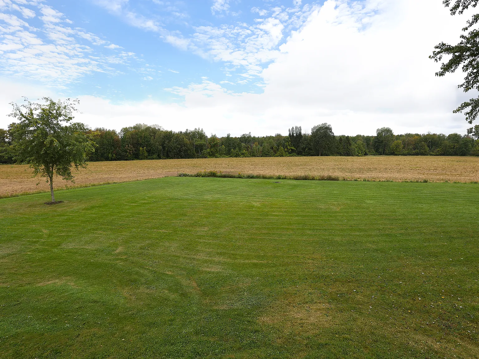 2 bed, 1300 sqft, $1,995 — Photo 2
