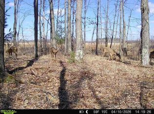 21 ACRES #Sand Hill Ln, WI 54481