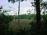 1st image of 103 Palmetto Point Dr
