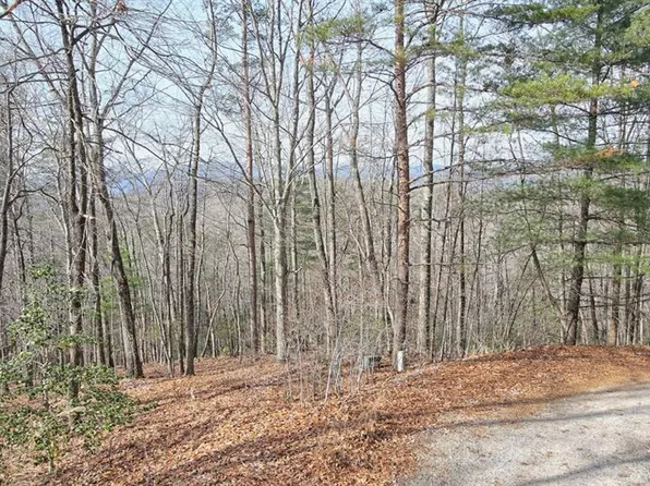 410 Chestnut Hills Rd #10, Clarkesville, GA 30523