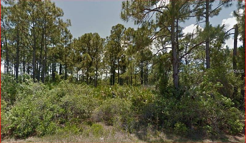 677215884_1