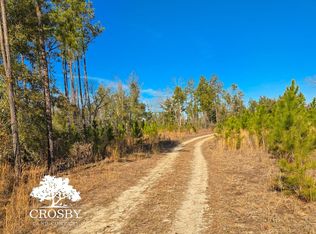 Middle Ground Church Rd, Sylvania, GA 30467