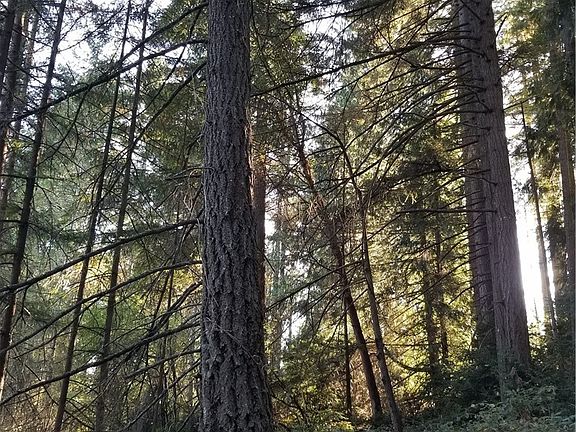 3rd image of 955 NW Hogan Ln