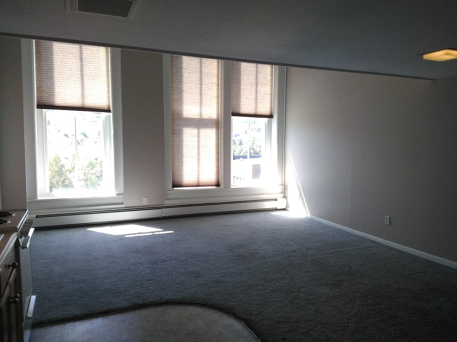 1 bed, 595 sqft, $1,350 — Photo 3