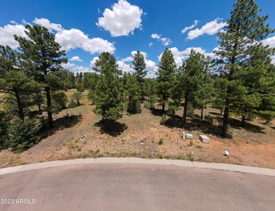 240 E Summerberry Dr #24, Show Low, AZ, 85901