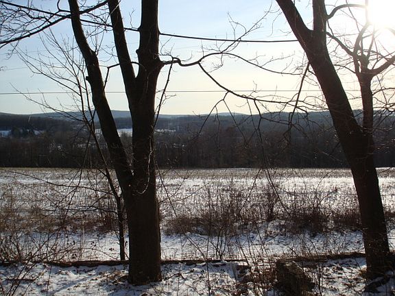 View to the back