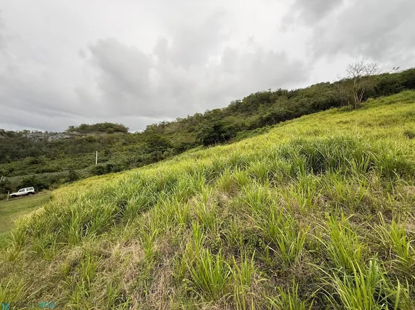 0 Barrio Susua Alta Sector Rio Lck, Yauco, PR 00698