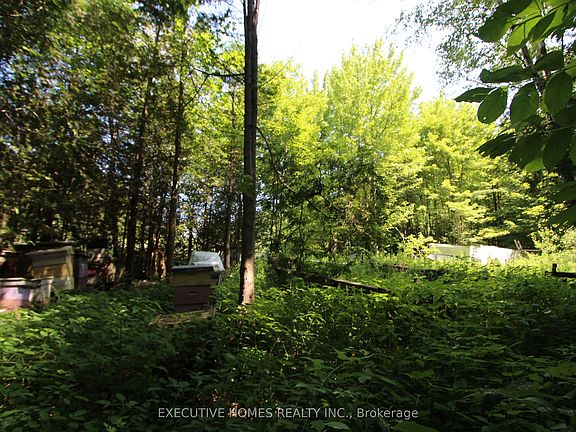4th image of 0 Webster Rd