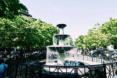 Rented by Bold New York