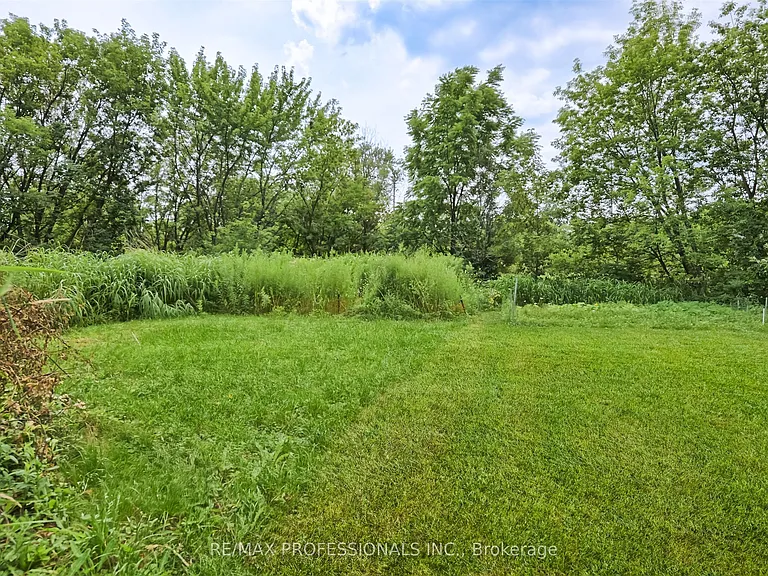 1026 Haig Blvd #BASEMENT — Photo 17