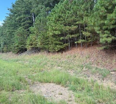 3rd image of 0 Fairview Rd