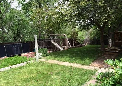 Backyard