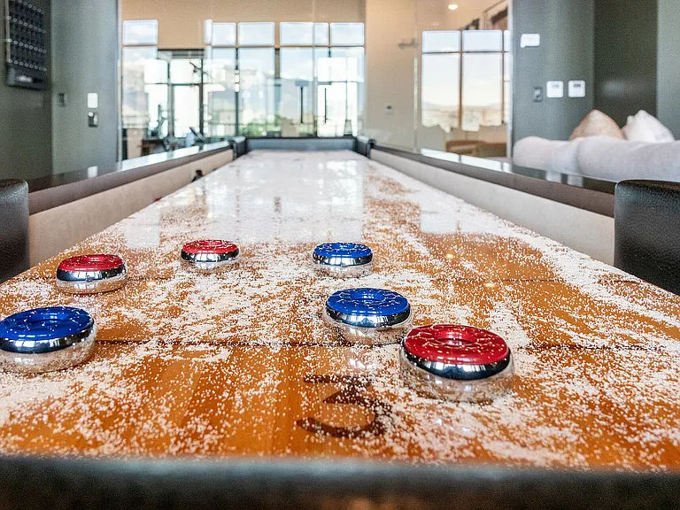 Shuffleboard