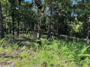 W Pine St #22, Lead Hill, AR 72644