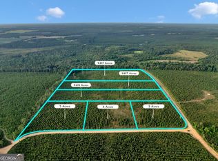 13 Carl Rodgers Rd, Reynolds, GA 31076