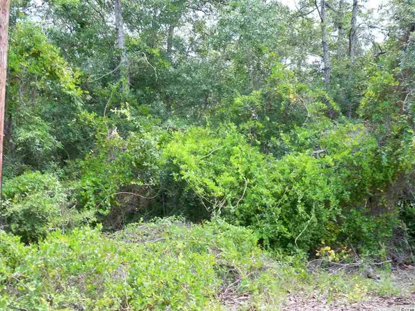 1000 29th Ave S, North Myrtle Beach, SC 29582