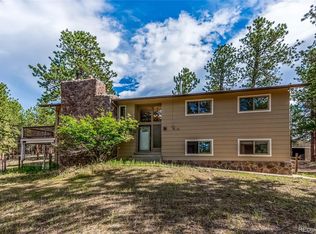 13249 Taza Ln, Pine, CO 80470