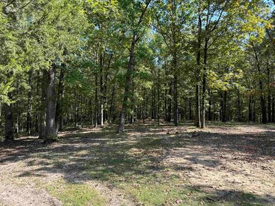 275 Needmore Rd, Evening Shade, AR, 72532