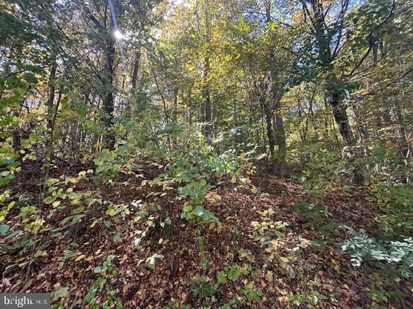 Cliff Heights Rd, Stanley, VA 22851