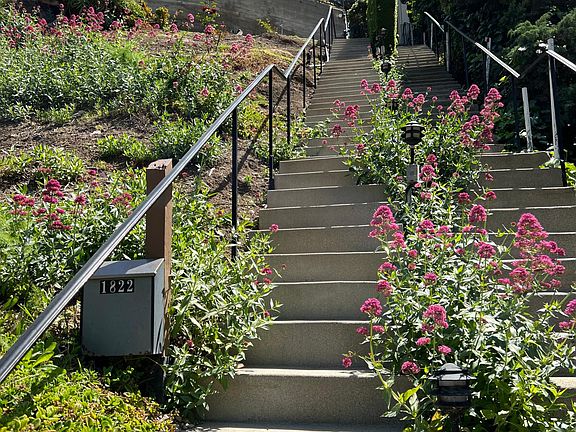 Stairway leading up to house from Redcliff St