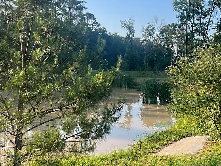 Robins Wood Dr — Photo 12