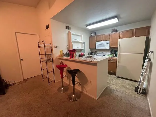 5295 Images Cir #205