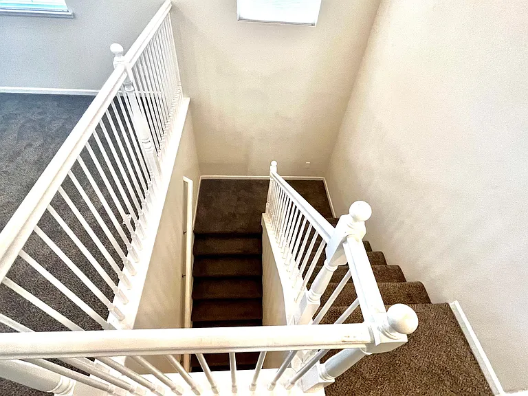 3913 Purple Finch Ln — Photo 17