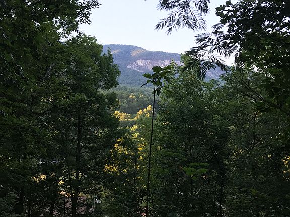 Scenic View