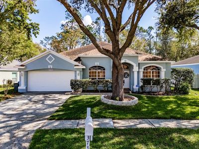 3732 Hollow Wood Dr, Valrico, FL, 33596