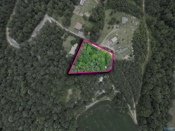 County Road 275, Fort Payne, AL 35967