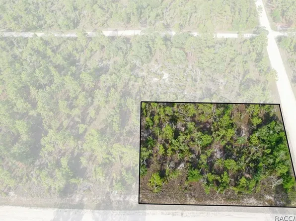 0 NE 131st Ter Lot 6, Williston, FL 32696