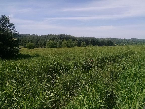 5th image of Old Niles Ferry Rd